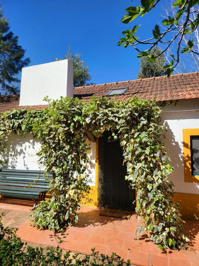 Quinta Da Mimosa Hotel Fajarda ภายนอก รูปภาพ