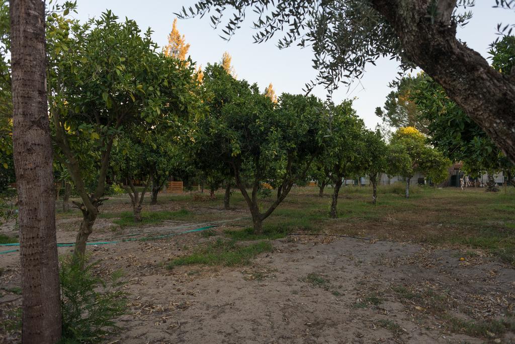 Quinta Da Mimosa Hotel Fajarda ภายนอก รูปภาพ